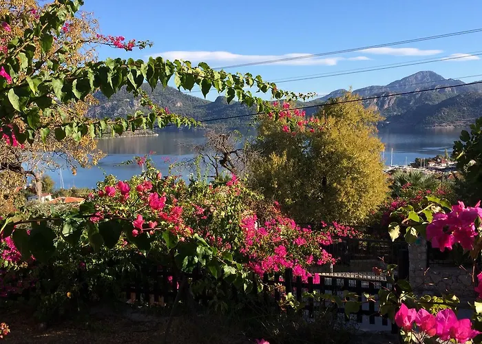 Selimiye Houses Selimiye (Aegean)