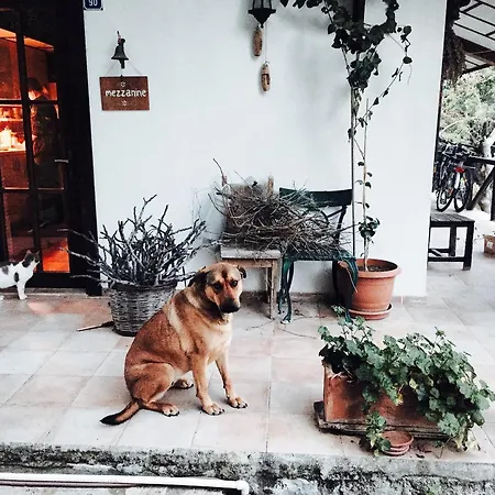 Villa Selimiye Houses *