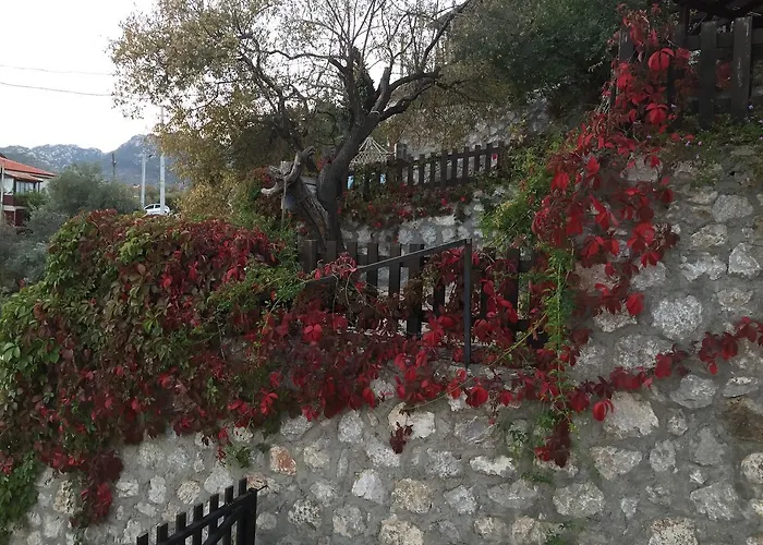 Selimiye Houses * Селемие