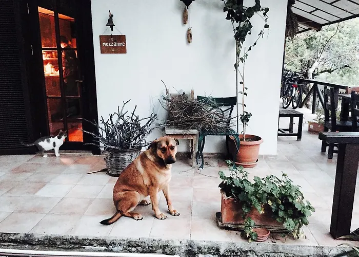 Вилла Selimiye Houses *